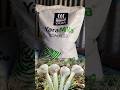 YARAMILA COMPLEX FERTILIZER YARAMILA COMPLEX Npk 12 11 18 यारामीला कॉम्प�