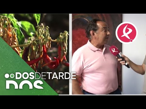 Premio gourmet a esta empresa de pimentón | Dos de tarde