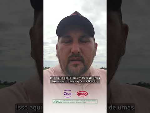 ZEUS em ação: resultado em poucas horas!