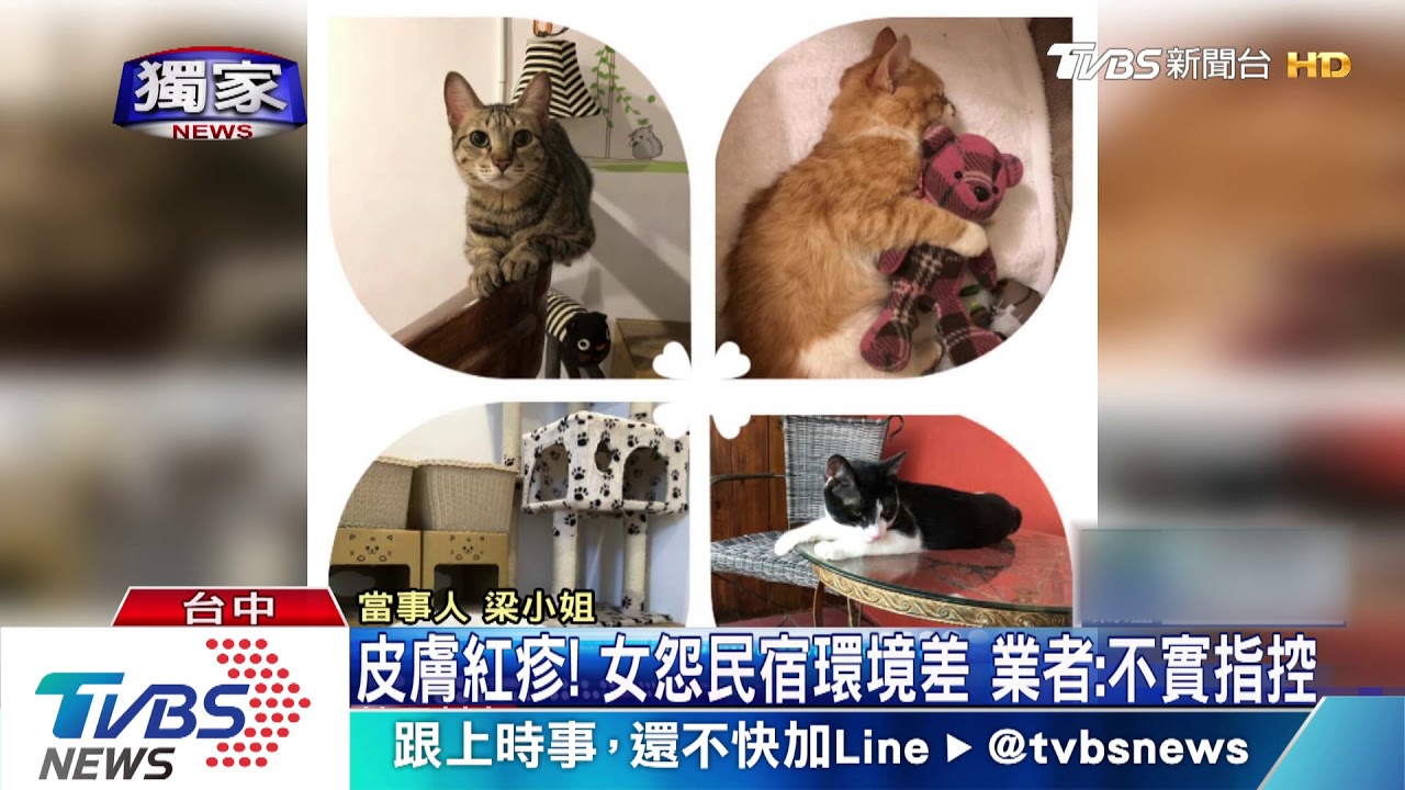 皮膚紅疹! 女怨民宿環境差 業者:不實指控