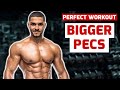 PERFECT CHEST WORKOUT FOR BIGGER PECS