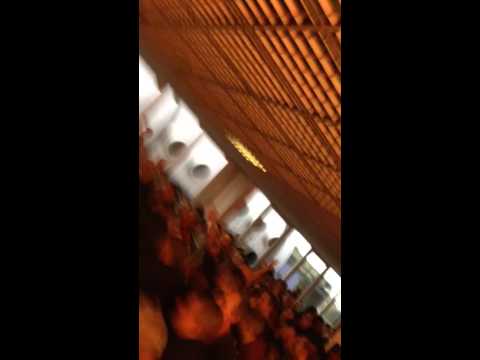 Shinji Kagawa Song Sunderland Away 5th October