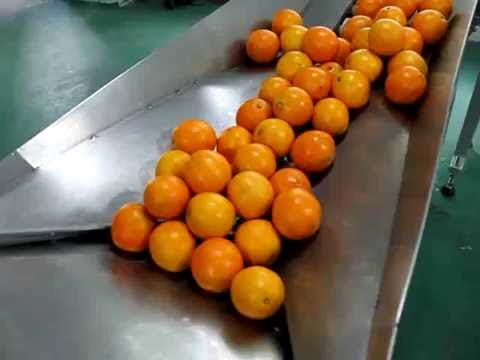 Minipack Flow Wrap Oranges Minipack Flow Wrap Oranges