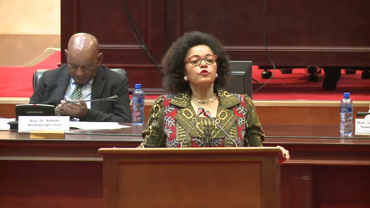 AUDA-NEPAD CEO Dr Nardos Bekele-Thomas briefs PAP Plenary