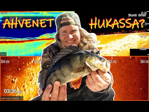 HYVÄ AHVENPOTTI - VINKIT AHVENEN KALASTUKSEEN KESÄLLÄ - VIISTO, DV JA 2D HYÖDYNTÄMINEN (ELEMENT)