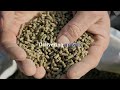 ADM Animal Nutrition
