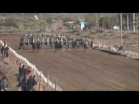 Club Hipico "Añelo"  15-05-2022  CHILENO