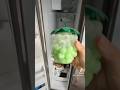 I Left My Water Slime In The Freezer For TWO MONTHS