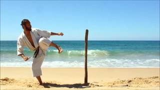 preview picture of video 'karate training - kihon 14 - kicking technics (keri waza) - Nambucca Heads (NSW)'