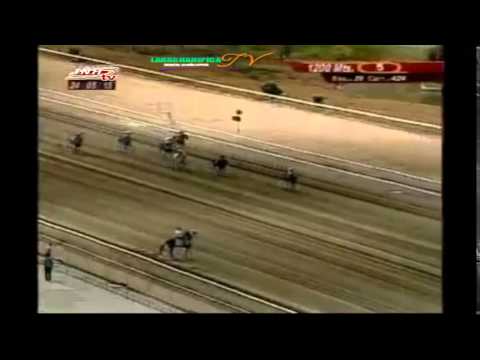 LA RINCONADA 5 CARRERA, DOMINGO 24 DE MAYO DEL 2015