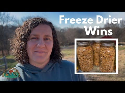 Freeze Drier Wins: Milk and Chili