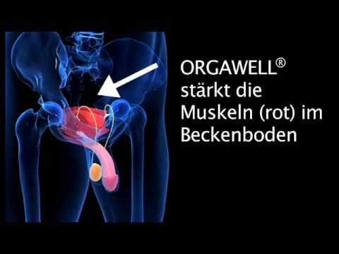 Läsionen der Prostata Blowjob mit Prostata-Massage von Schönheiten