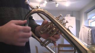 Video thumbnail for Yamaha Bobby Shew Flugel Horn yfh6310z by Stampys Random Reviews