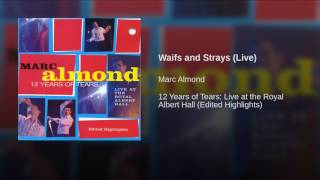 Waifs and Strays (Live)