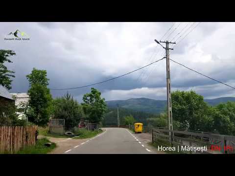 TransUrsoaia // iunie 2020