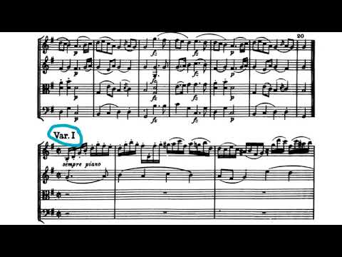 Haydn Emperor String Quartet - 2nd movement (Theme and Variations)