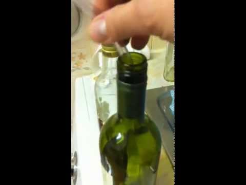 jak zrobić śliwowice 62% - tajniki mistrza