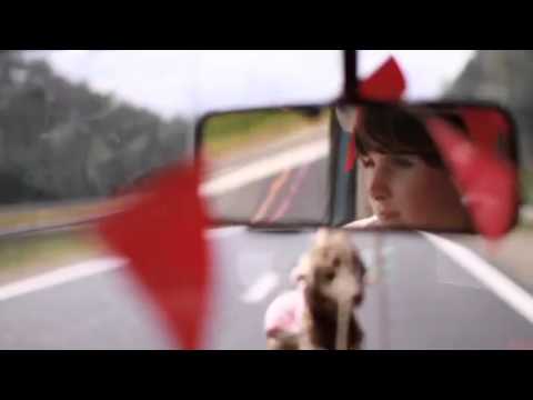 Manifesta 9 Parallel Event by B32 | Taxi Détour