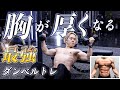 大胸筋上部に効く最強ダンベル筋トレ4種目【2分半の筋トレプログラム】