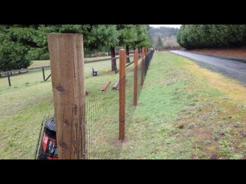 rolled wire fencing for dogs
