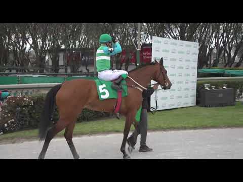 230924 c05 Cl  Stud Book Uruguayo/ PACHOLLI