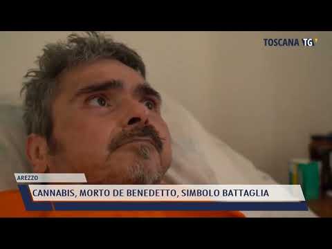 2022-05-09 AREZZO - CANNABIS, MORTO DE BENEDETTO, SIMBOLO BATTAGLIA
