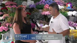 Sevgiyi ve Bereketi Büyüten Çiçekler | Bereket Çiçekçilik