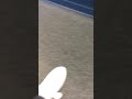 Skating