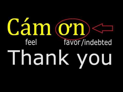 Vietnamese lesson 1 review & explained (Southern accent)