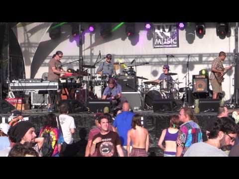 Viral Sound at Disc Jam