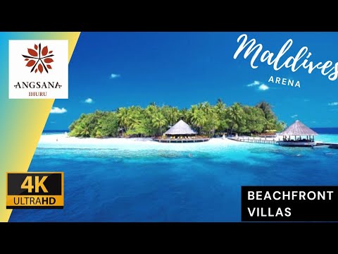 Videos del Dhawa Ihuru 5★ en Malé, MaldivasVer MásVerPrecios18CerrarConsulta por Whatsapp 🇦🇷BookingTripadvisorExpediaAgodaTravelocityOrbitzPricelineTripSkyscannerDespegarKayakHotelesDestiniaTrivagoLastminuteHotwireTuiWotif