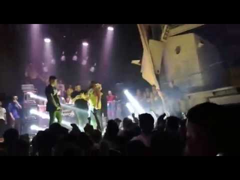 Invert vs mowlihawk  La Galeria Paint animals 25/11/2016