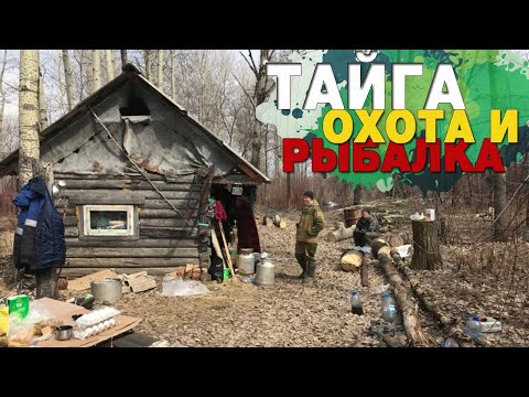 Тайга. Охота и рыбалка в Сибири. Дикая природа. Taiga. Hunting and fishing in Siberia.