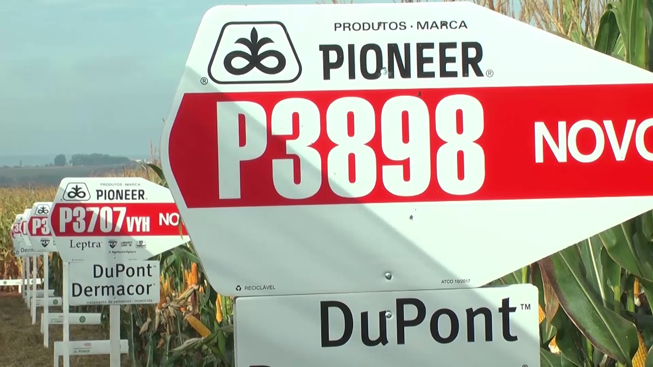 Dia de campo Pioneer Jataí