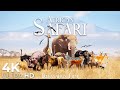 African Safari 4K Unreal Savannah Wildlife With Meditation Music Ultra HD Relaxation Film