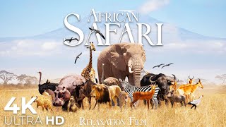African Safari Animals 4K • Wildlife Relaxation Film • Relaxing Music with Video 4K Ultra HD