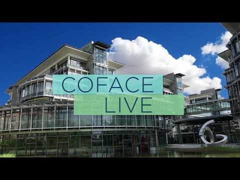 Jetzt wird es eng: Update der Länder- und Branchenrisiken | Coface LIVE vom 16.06.2020