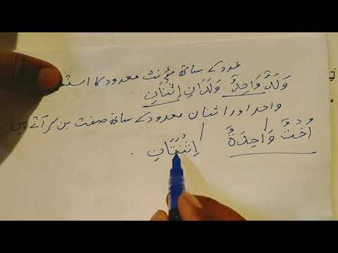 Madinah Arabic Reader Book 2 Lesson 10 Part 1