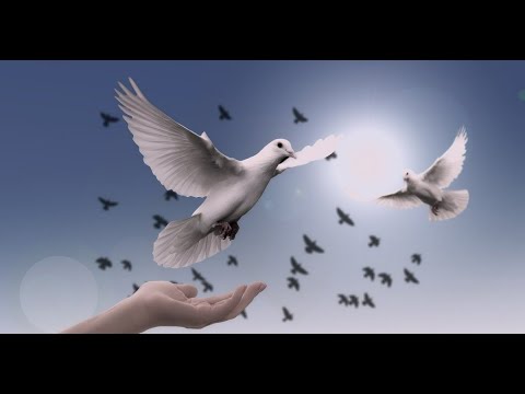 Το όραμα της ειρήνης.