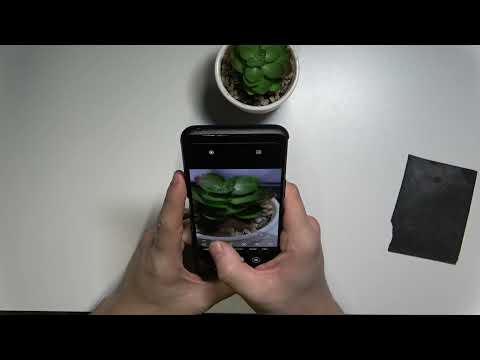 Camera Preview on ASUS ROG Phone 5s | Camera All Features Review