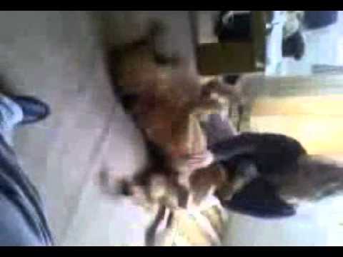 taury and aunty josie.3gp