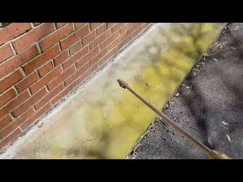 Taking Care of All the Ants Around the Home...