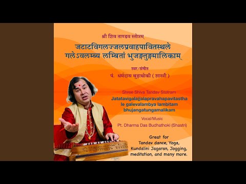 Shiva Tandav (Jatatavigalajjalapravahapavitasthale galevalambya lambitam bhujangatungamalikam)