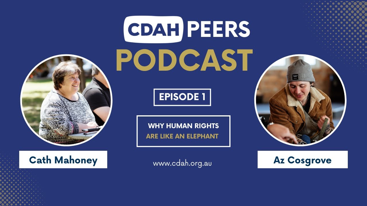 1. Why human rights is like an elephant (short version)