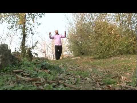 Maksim Sen 2012  Muhteshem Yuzyıl  HD  original