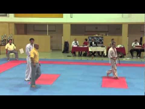 Beslaneev vs. Komanov - VIENNA OPEN - Erstes offenes internationales Kyokushin-Kan Karate Turnier