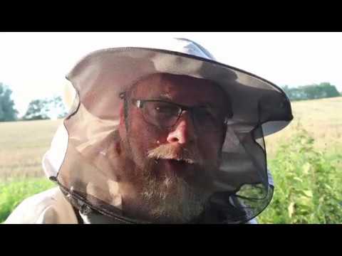 Slutskattning och förbereder bina för vintern