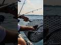 Video Thumbnail for Nice walleye #walleye #fishing #shorts