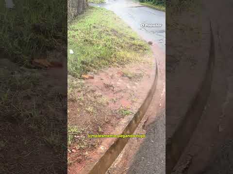 Água termal brotando no meio da rua impressiona moradora de Caldas Novas