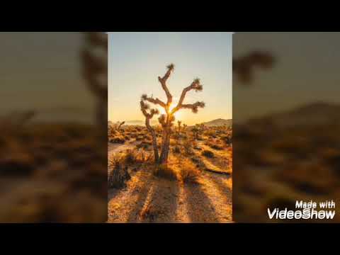 Lent is a season of prayer, fasting and almsgiving, by Fr. Jb Mbbah-offor